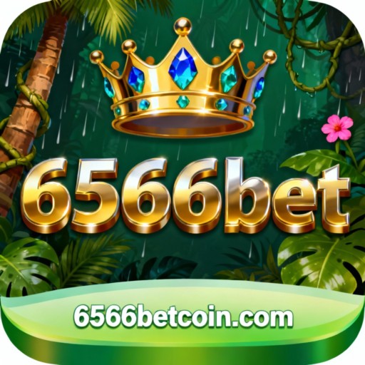 6566bet